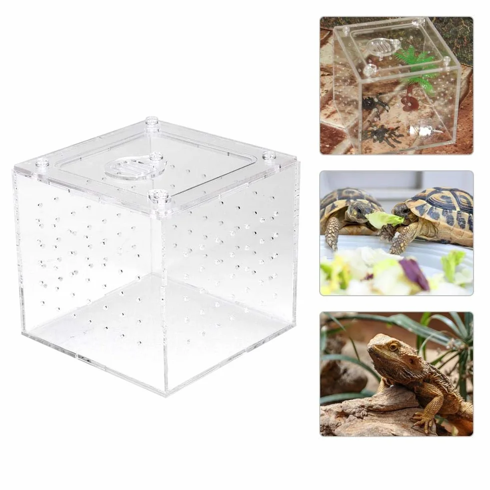 Pojemnik do karmienia gadów Podajnik do terrarium dla gadów Wąż Pająk Hodowla jaszczurek Akrylowe pudełko Case Domek dla owadów dla jaszczurki Pająk Żaba Krykiet Żółw
