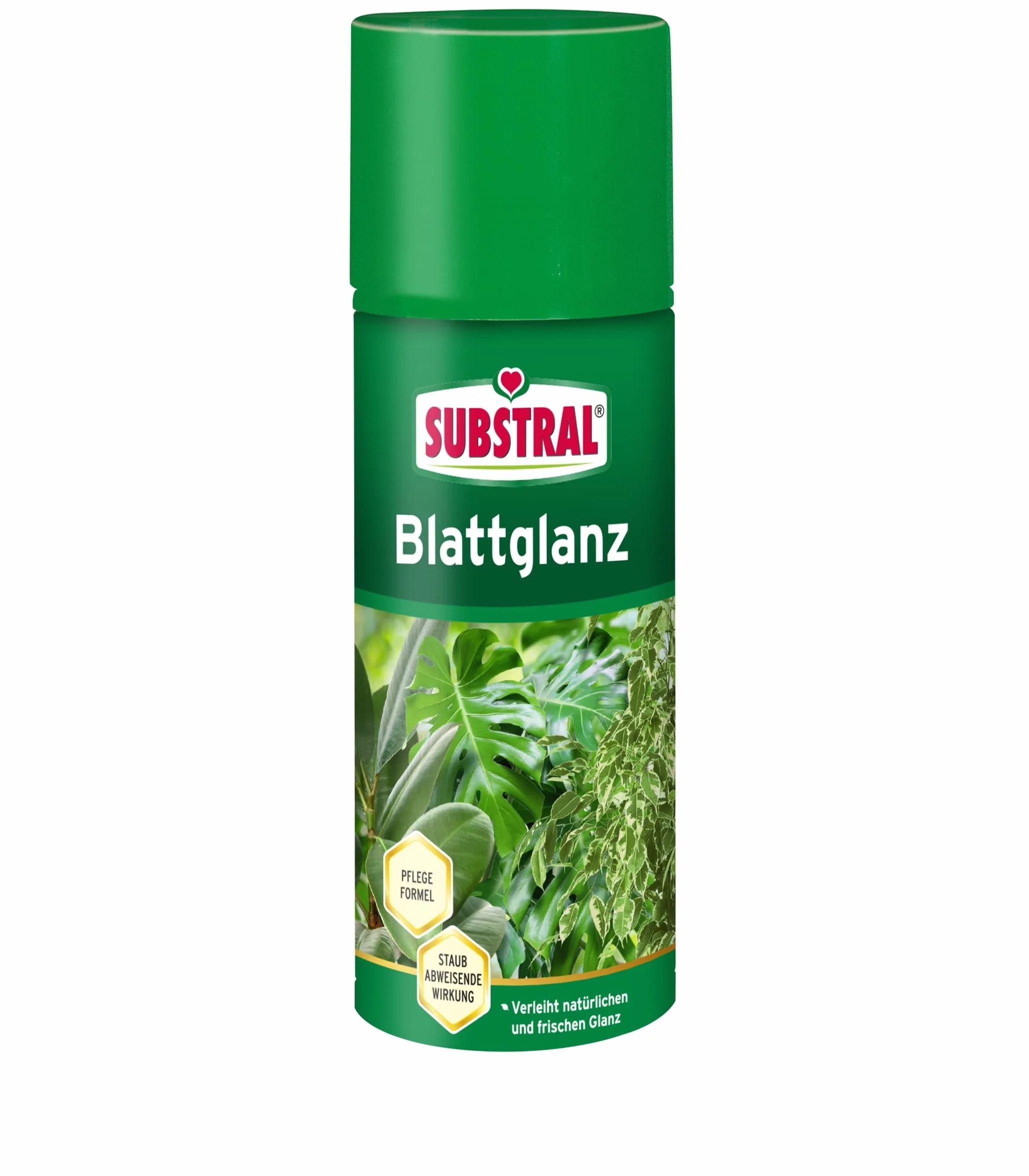 Substral Spray do liści, usuwa osady kamienia i osady kurzu, odpycha kurz, do wszystkich roślin zielonych, 200 ml