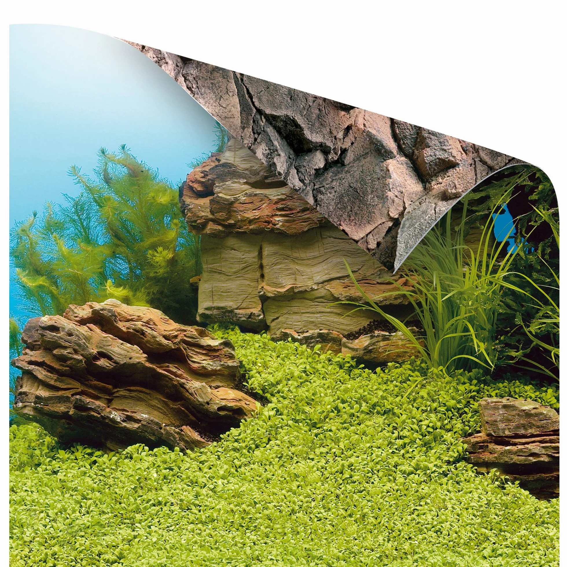 Juwel Aquarium Plakat 1 XL