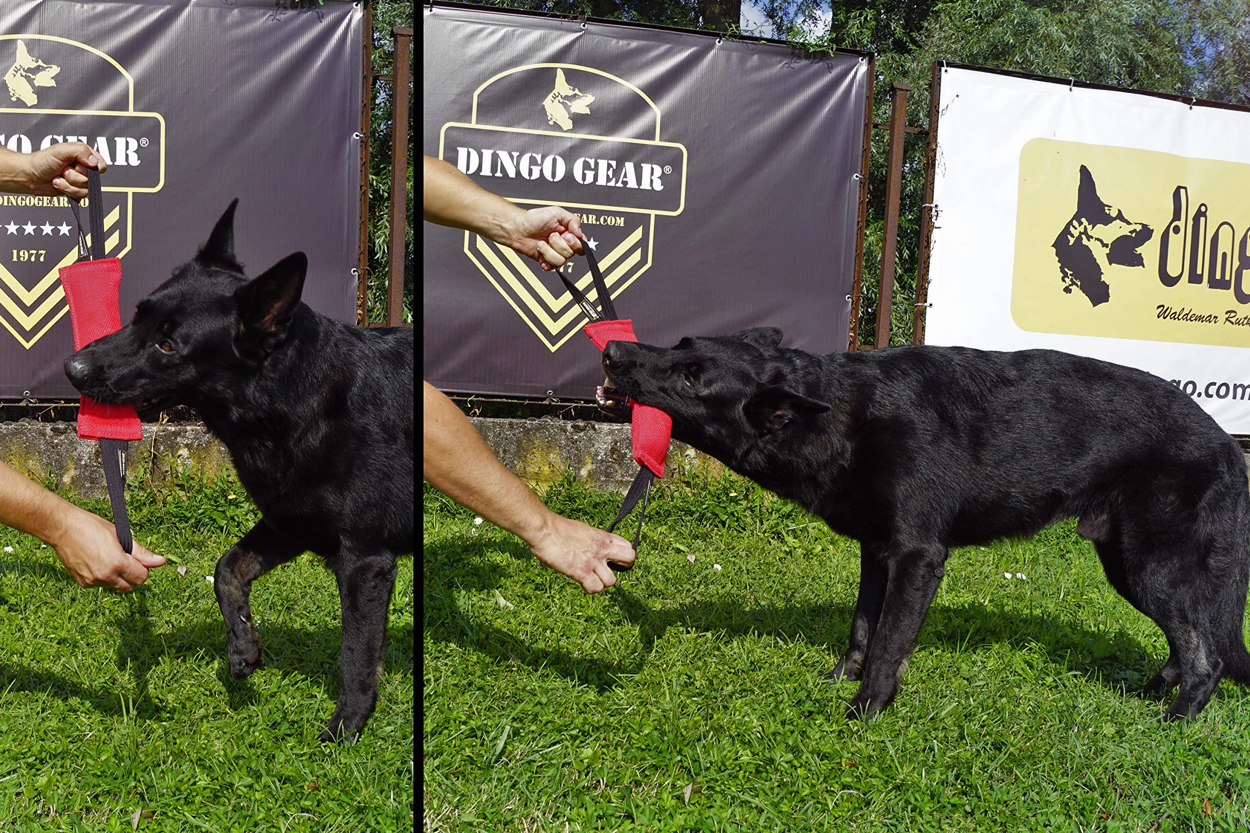 Dingo Gear Gryzak dla psa czarny 28 x 7 cm