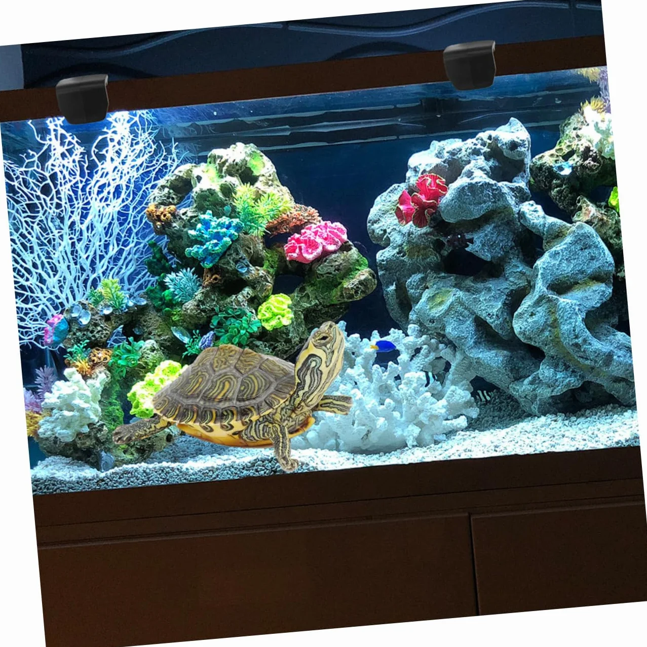 6Kawałki Sztuk Do Terrarium dla Żółwi Plastikowe Zapięcia Do Zbiorników dla Gadów Akcesoria Do Akwarium Łatwe Instalacji Zabezpieczenie przed Ucieczką