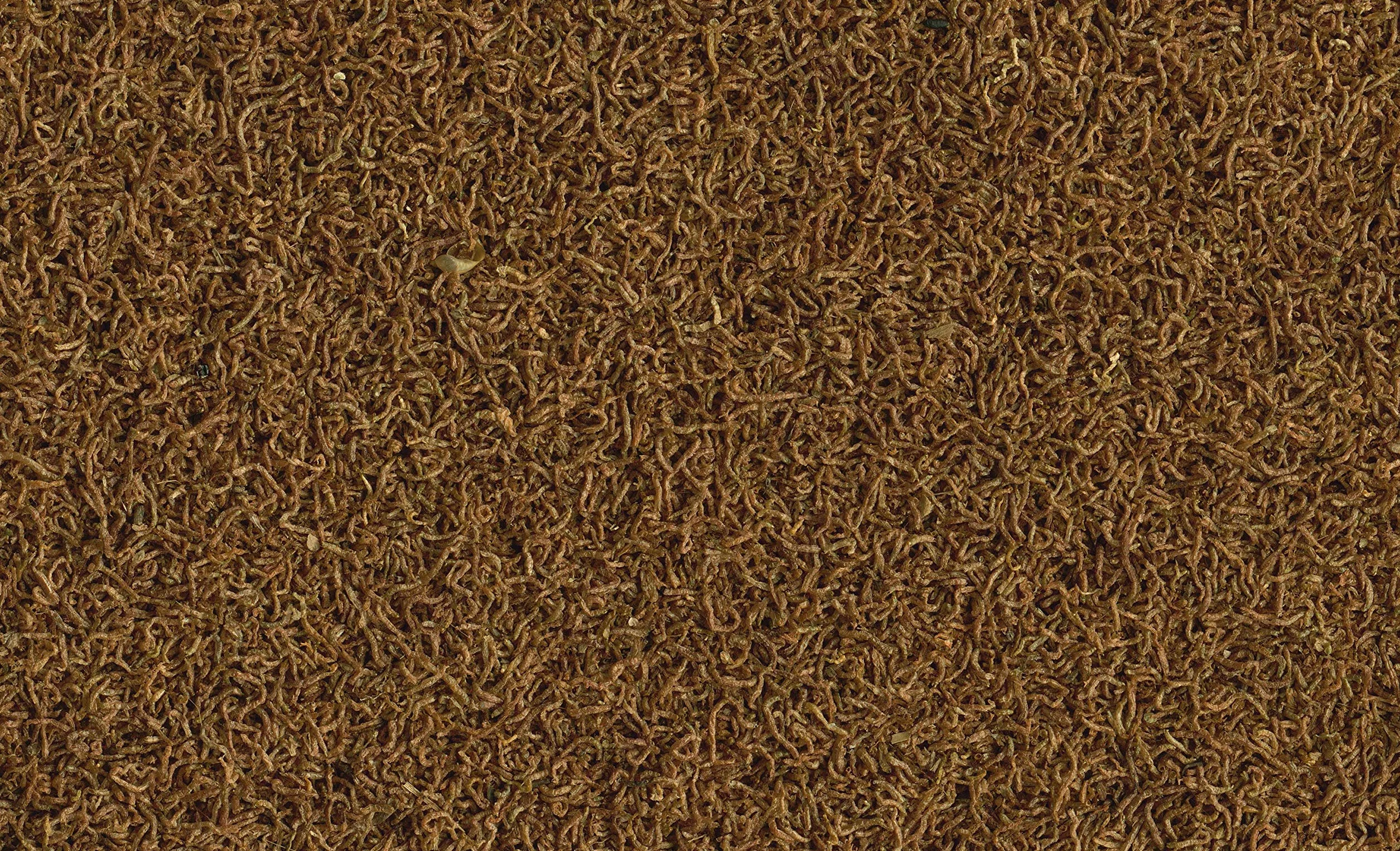 Tetra Delica Bloodworms, naturalna karma dla ryb ozdobnych, liofilizowane czerwone larwy komarów, puszka 100 ml