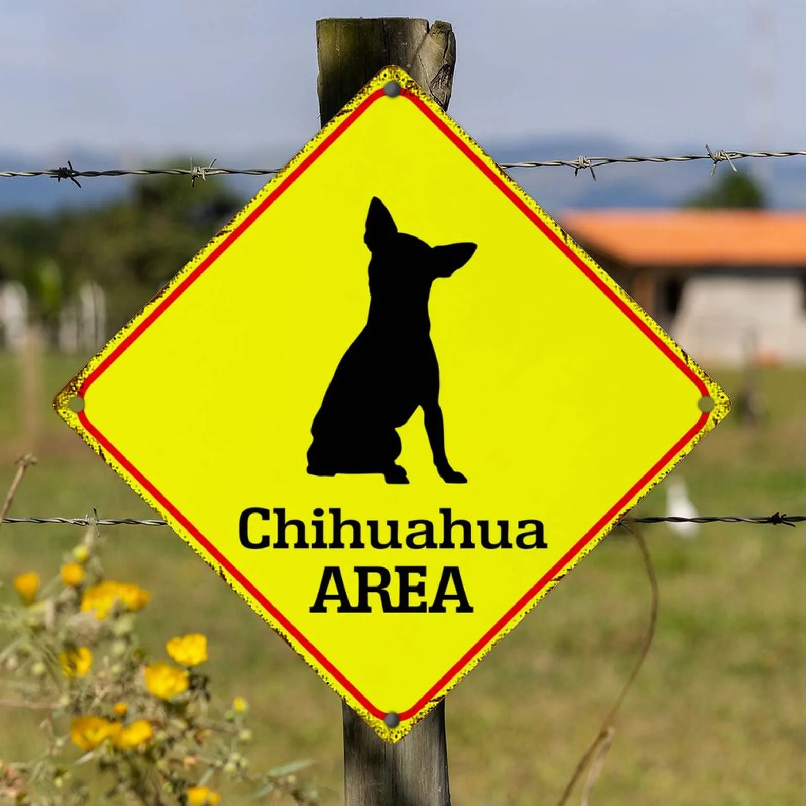 Uwaga Chihuahua Xing metalowy blaszany znak chihuahua pies obszar metalowy znak chihuahua przejście retro aluminiowe metalowe znaki żółty diament kształt znak na podwórko ulicę brama ogrodzenie 25 x 25 cm