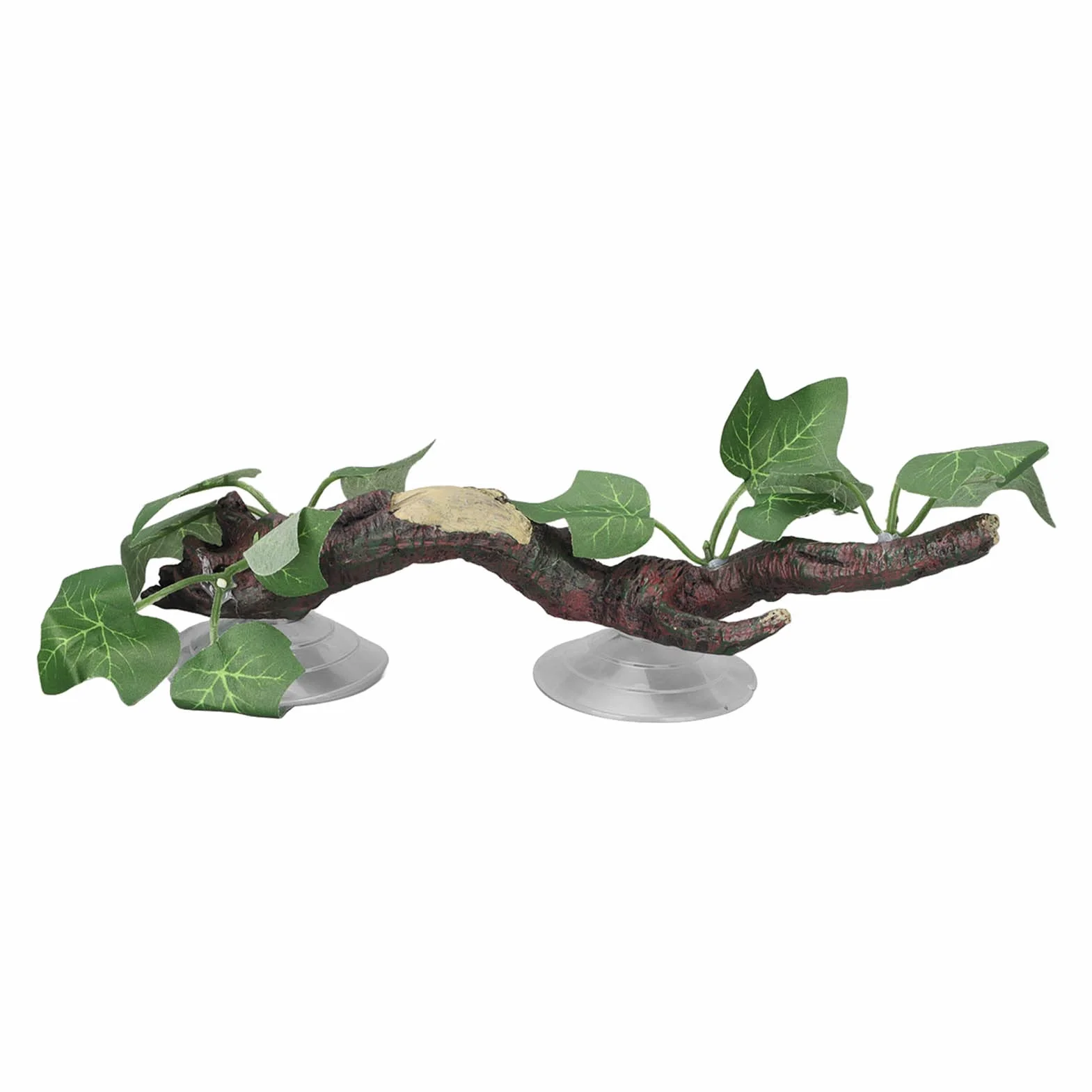 Gałęzie dla Gadów, Rośliny Wężowe do Terrarium, Dekoracja Akwarium