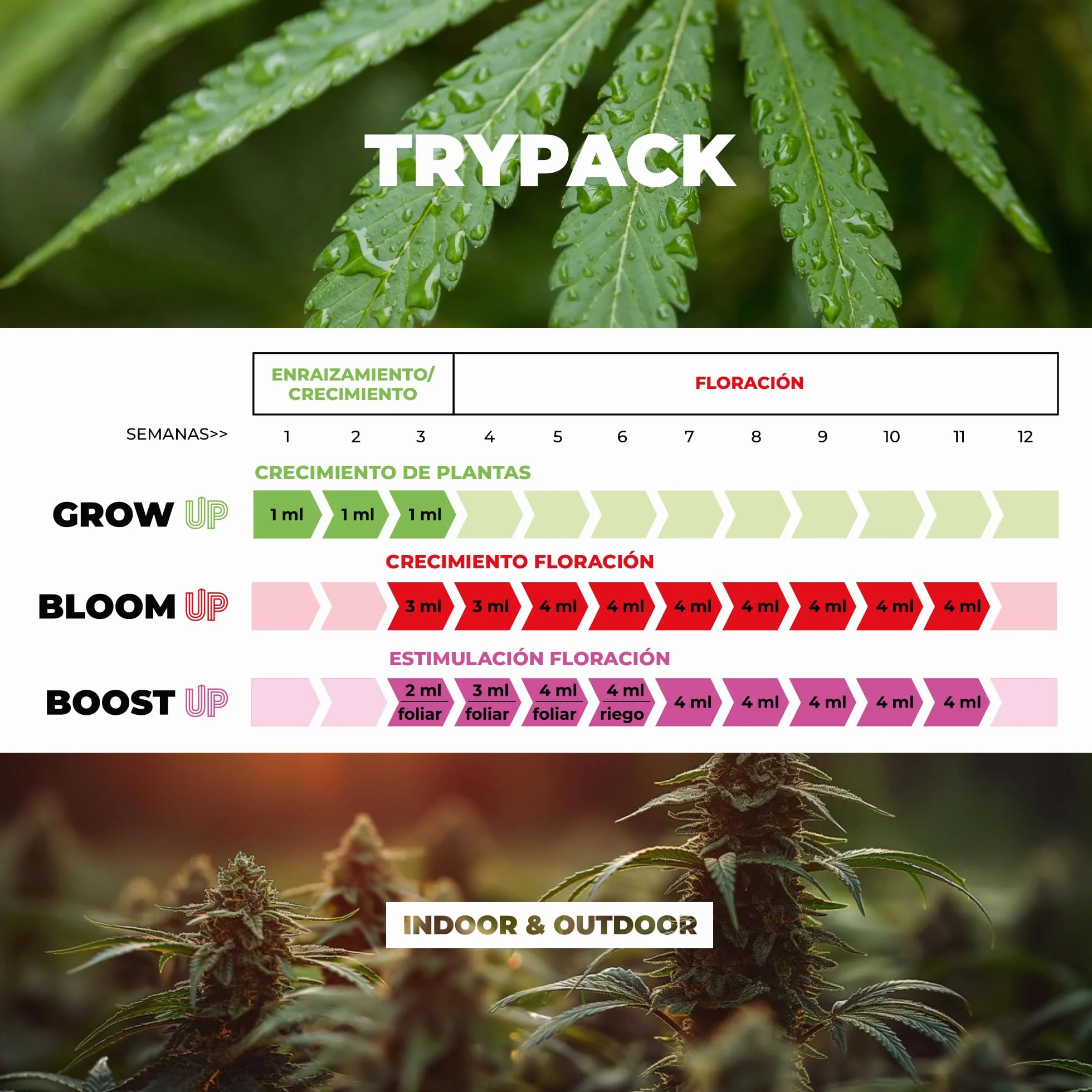 UP NUTRIENTS Trypack nawóz Grow, Bloom & Boost 250 ml | 100% nawóz organiczny do uprawy wewnątrz i na zewnątrz | ukorzenienie, wzrost i gęstość kwiatów | stymulator kwiatów i roślin