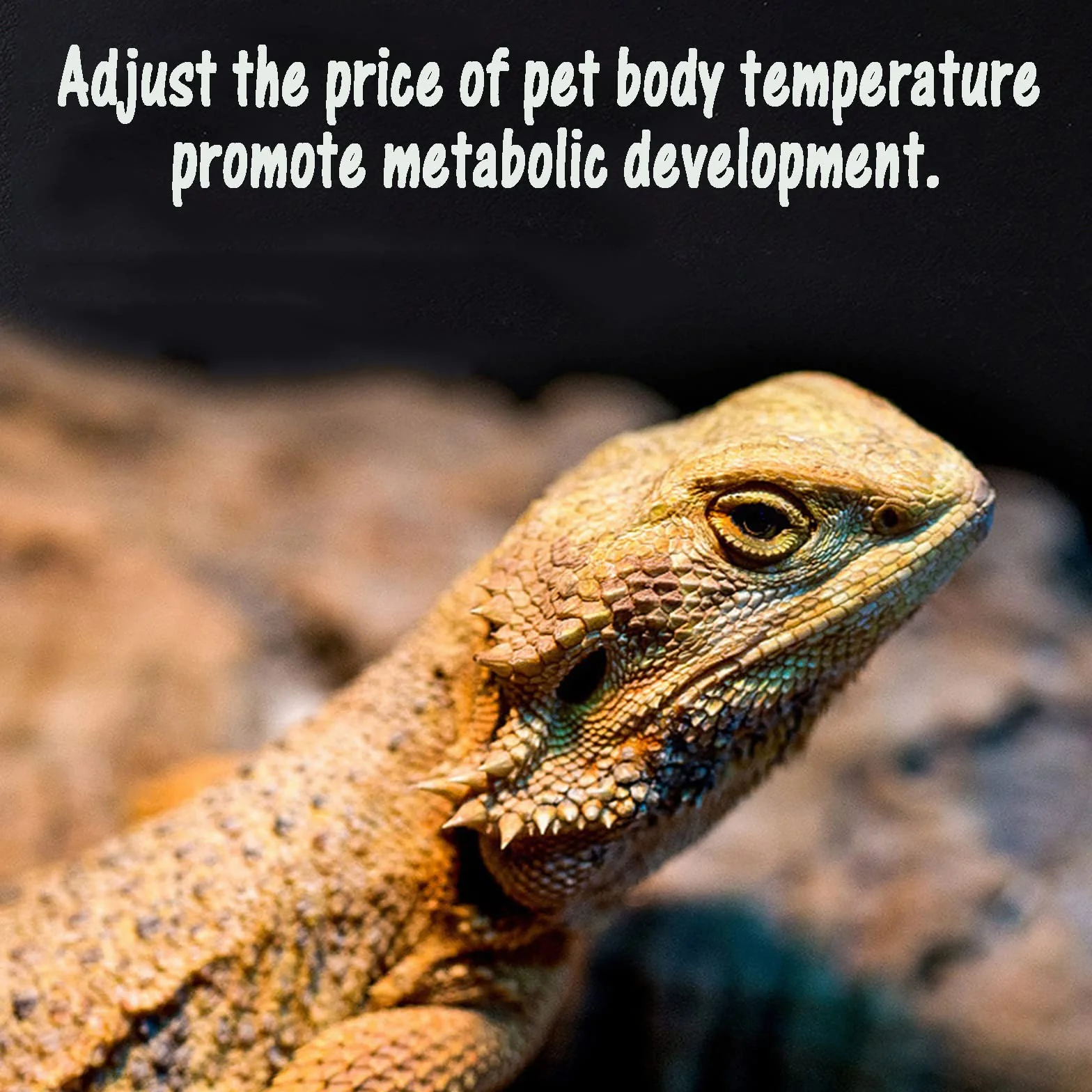 Mata grzewcza terrarium wodoodporna z regulacją temperatury 20 W dla gadów