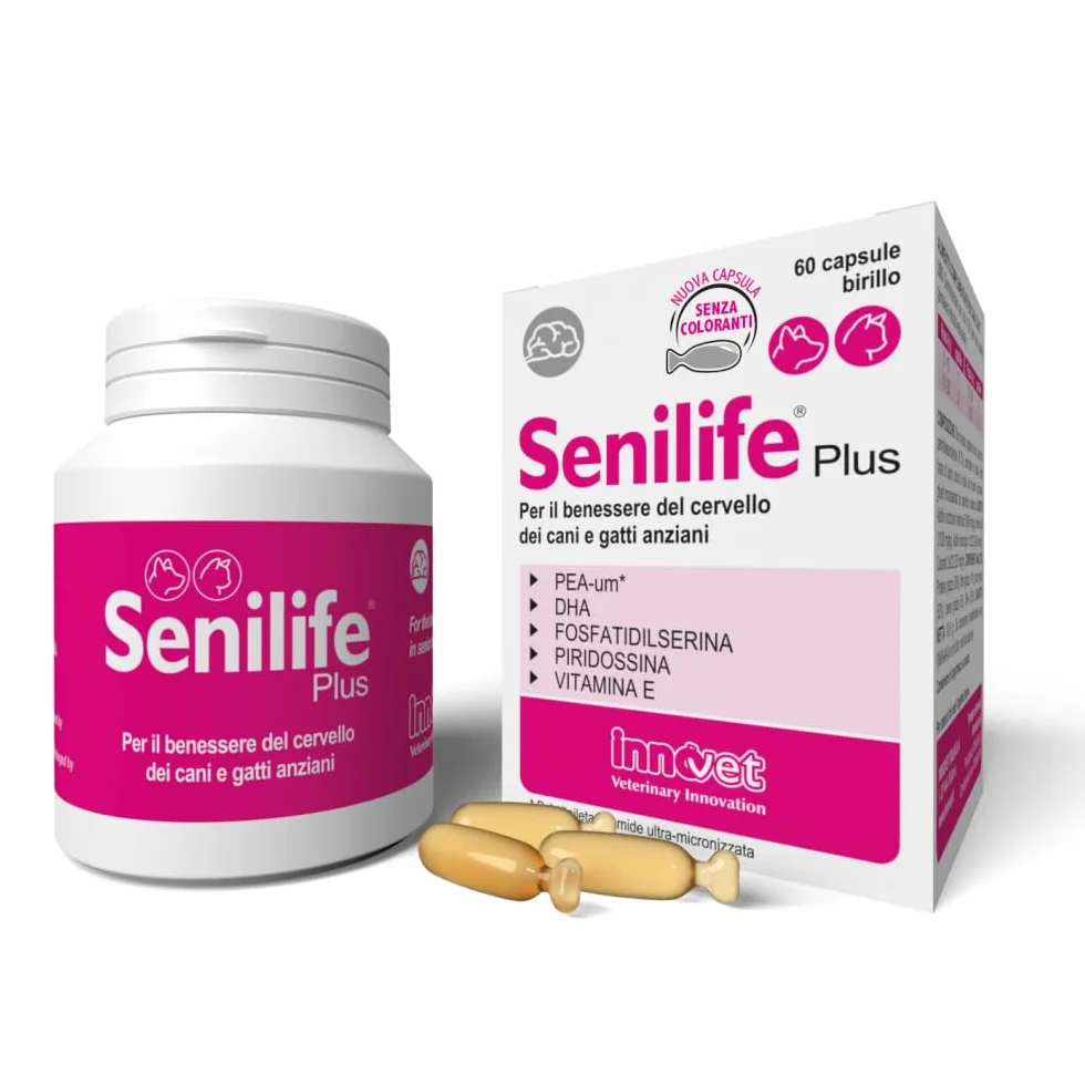 Senilife Plus 60 kapsułek dla starszych psów i kotów poprawia funkcje poznawcze i pamięć