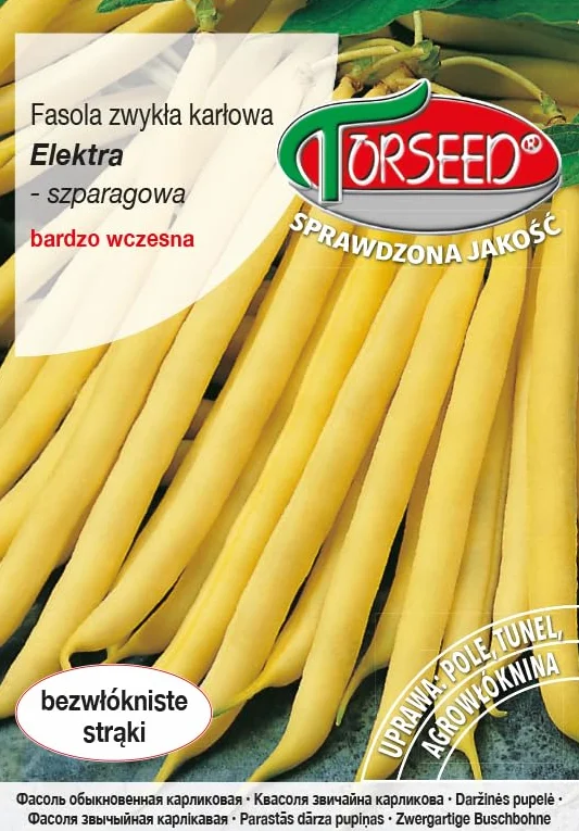 Elektra nasiona fasoli karłowatej (Phaseolus vulgaris) – bardzo wcześnie dojrzewające, bez nici 12-15 cm strąki, idealne do uprawy tuneli, bezpośrednie zaufanie na rynku (30 g)