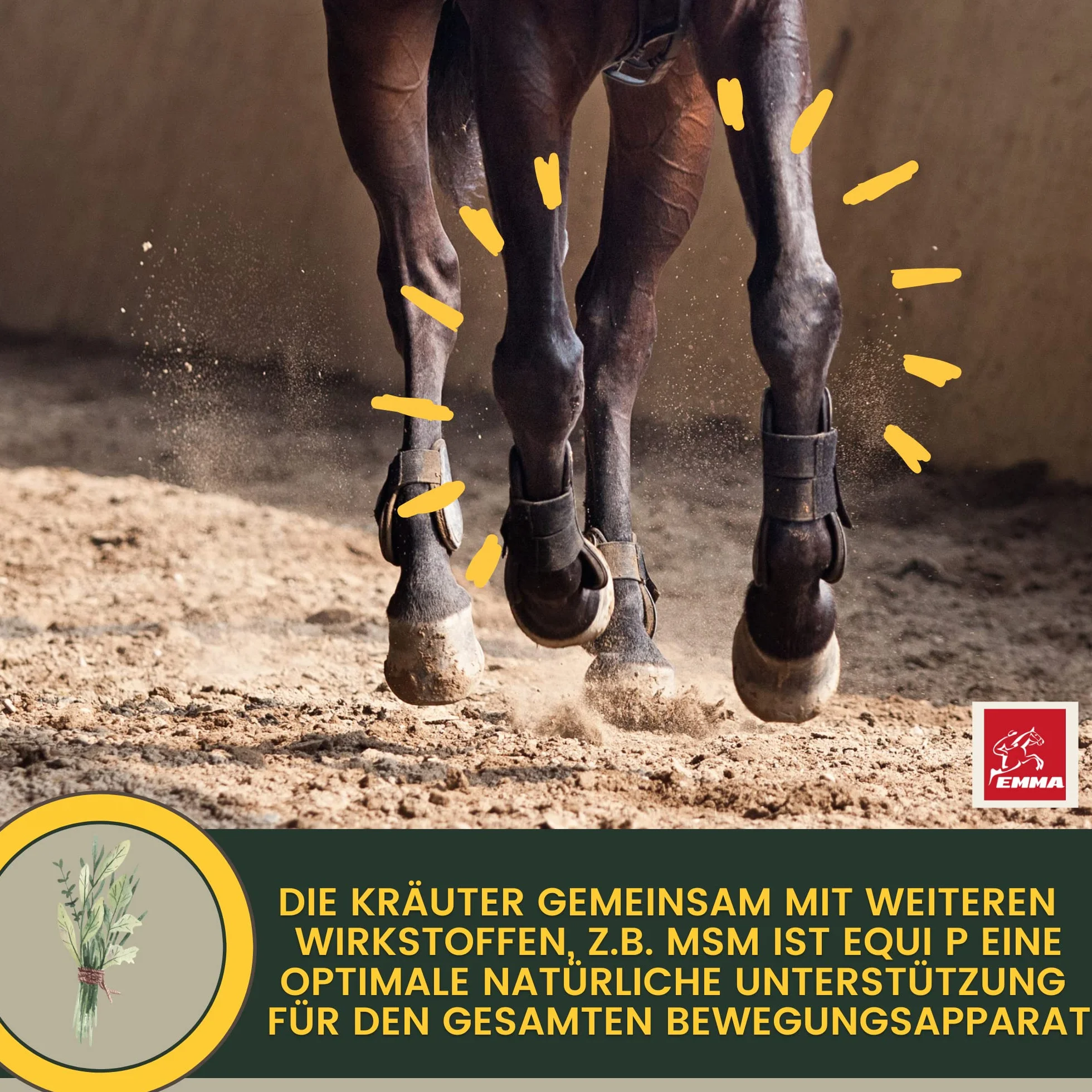 Equi P Pasta witaminowa Plus Glukozamina Chondroityna dla stawów ścięgna więzadła chrząstka 1 szt