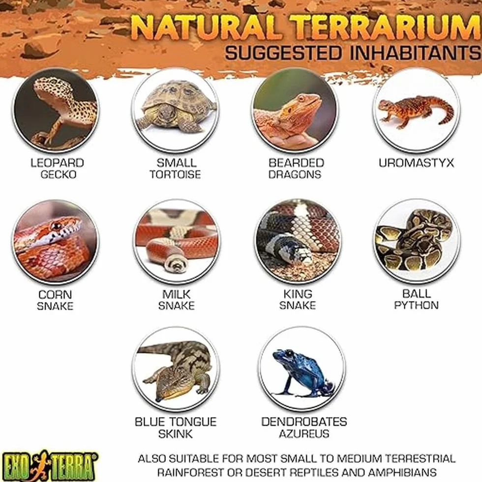 Exo Terra Nano Terrarium 20 x 20 x 20 cm Czarny Przezroczysty