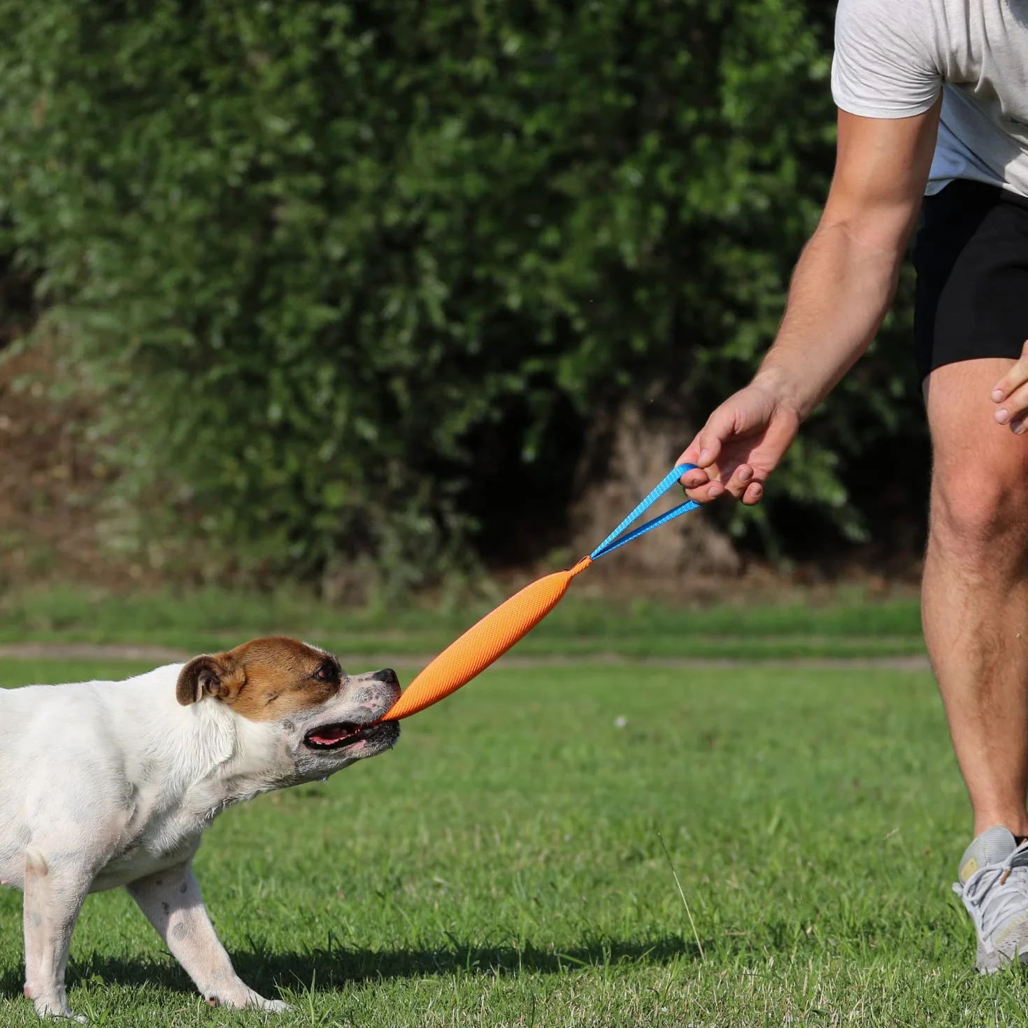 Bull Fit Szarpak dla psa 25 cm z rączką zabawka treningowa